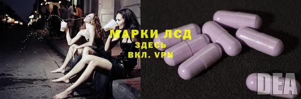 стаф Верея