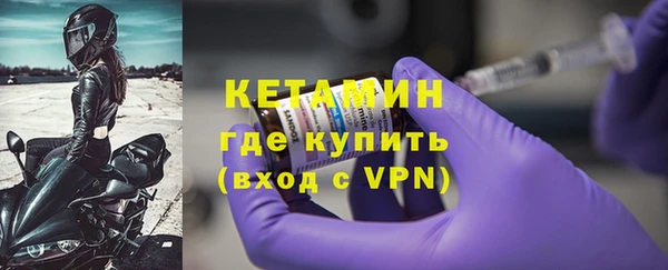 стаф Верея