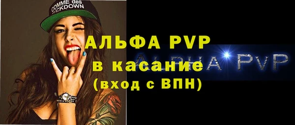 шишки Покачи
