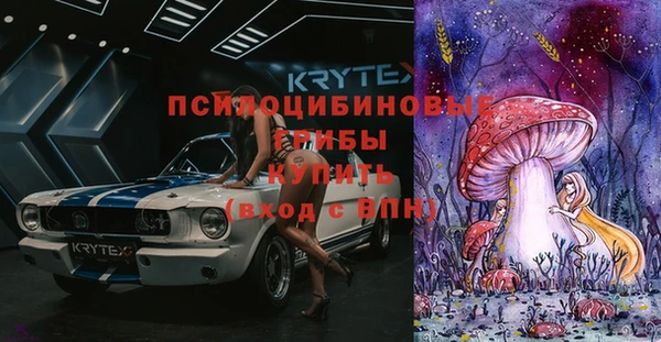 стаф Верея