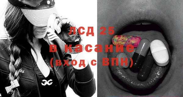 стаф Верея