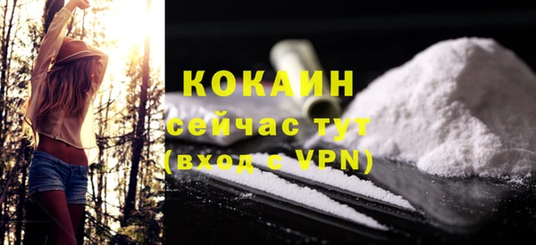 стаф Верея