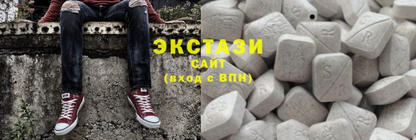 стаф Верея